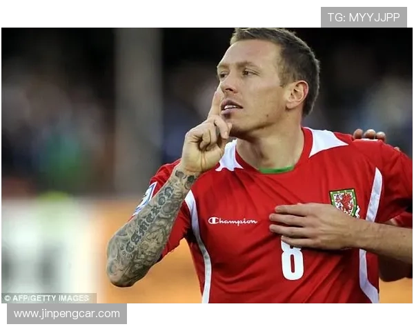 足球球星贝拉米个人介绍及精彩瞬间视频回顾